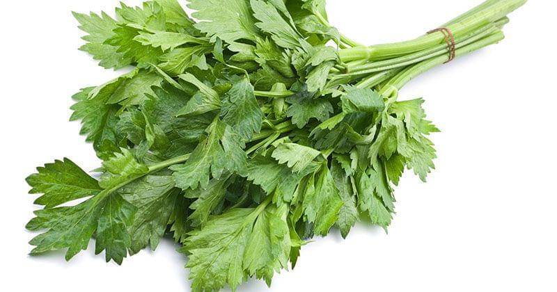 realworldgardener.blogspot.com