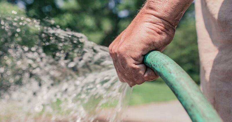 Pexels/Gratisography