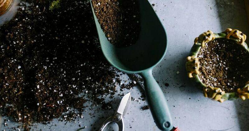 Unplash/Neslihan Gunaydin