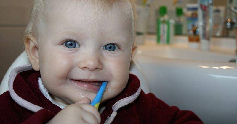 Pixabay/jennyfriedrichs