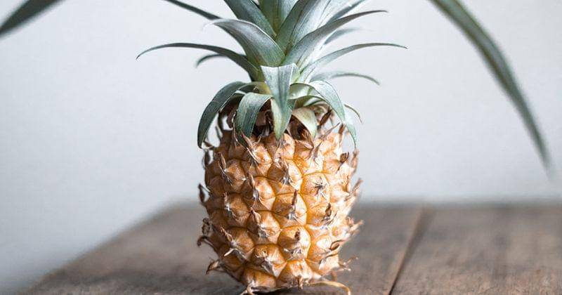 Unsplash/Kelli McClintock