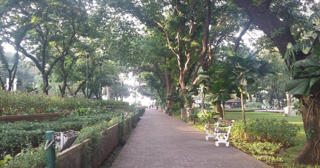 Commons.wikimedia.org