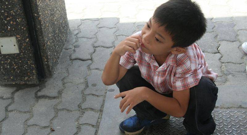 flickr.com/photos/phalinn