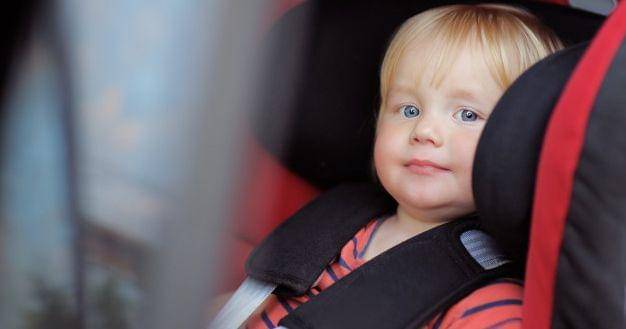 Freepik/Maria_sbytova