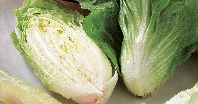 organiccatalogue.com