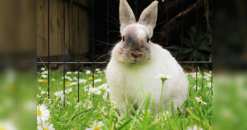 Unsplash/Misha Walker