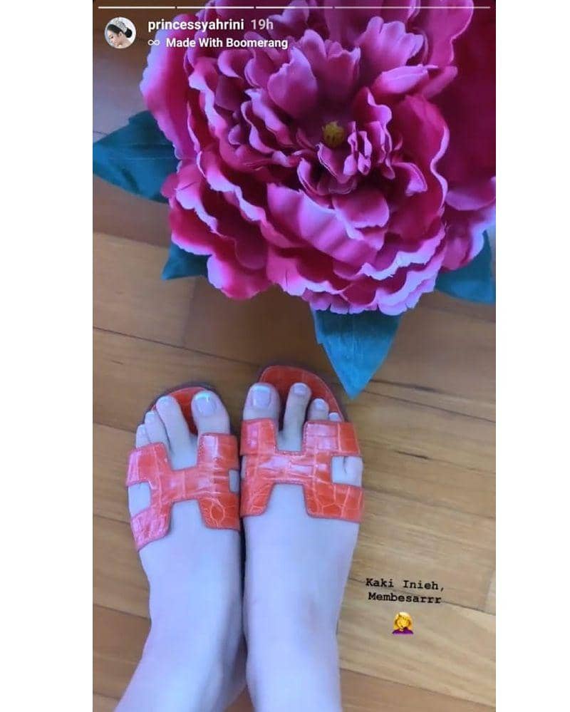 Instagram.com/princessyahrini