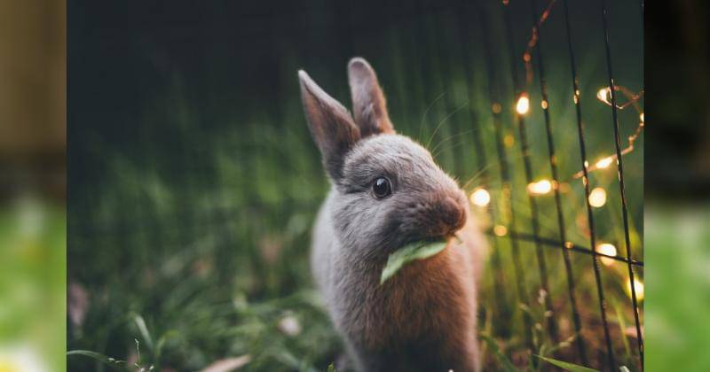 Unsplash/Lexim Photo