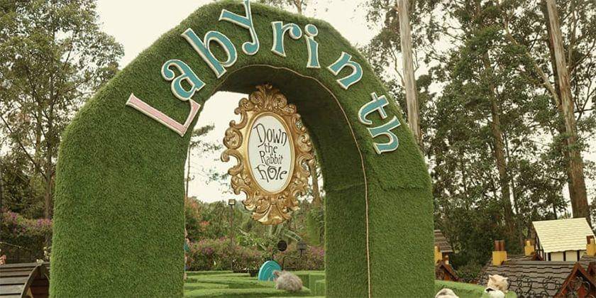 Instagram/dusunbambu