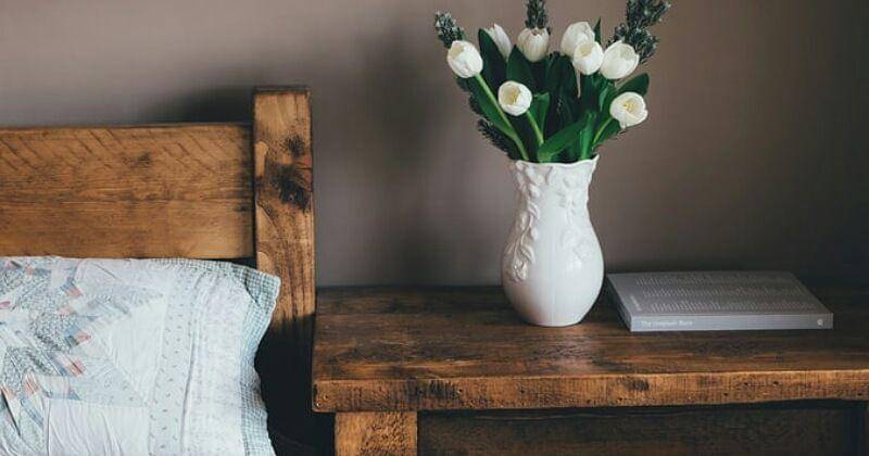 Unplash/Annie Spratt