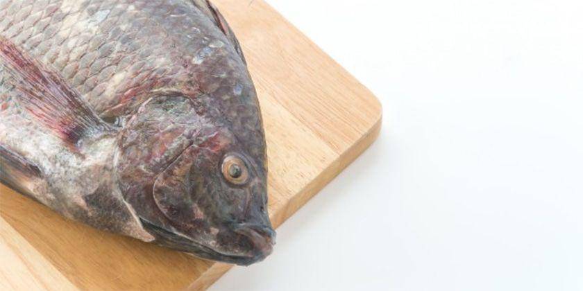 7 Manfaat Makan Ikan Nila untuk Ibu Hamil