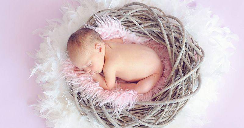 Pixabay/Tawny van Breda