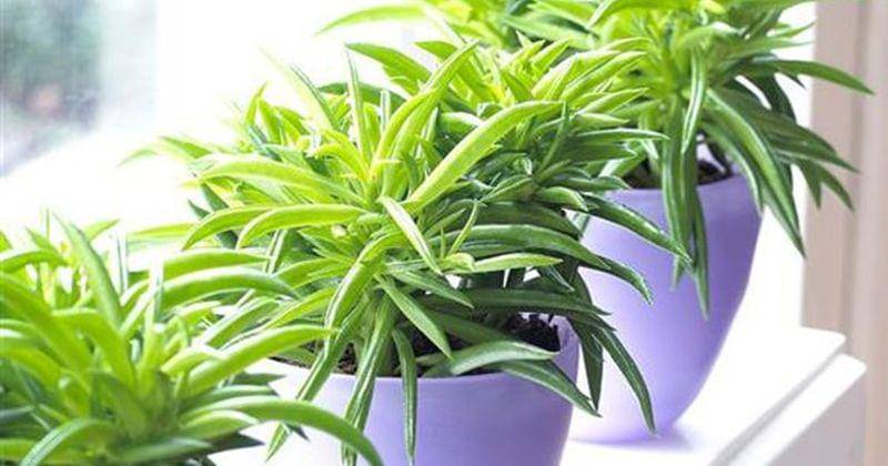 Pinterest/Lhynsanity06