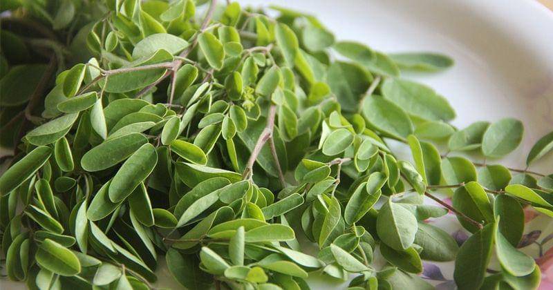 Pixabay.com/svibhandik