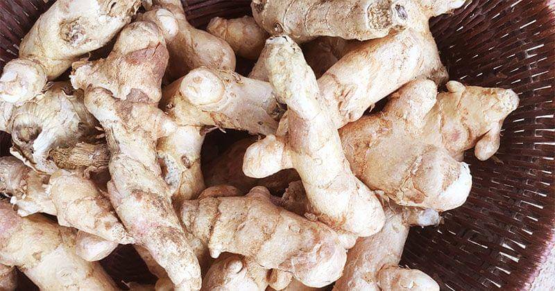 southernexposure.com