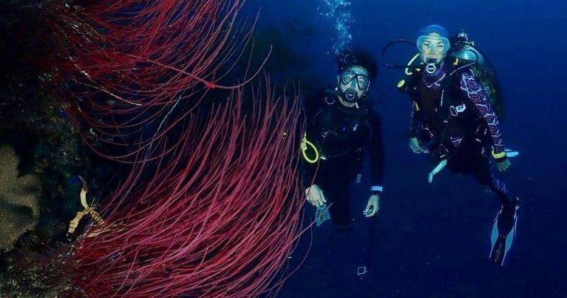 Instagram.com/nadinelist