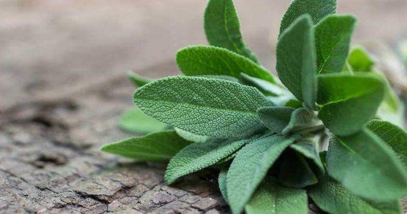 jesmondfruitbarn.com.au