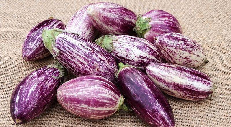 pixabay.com/zimt2003