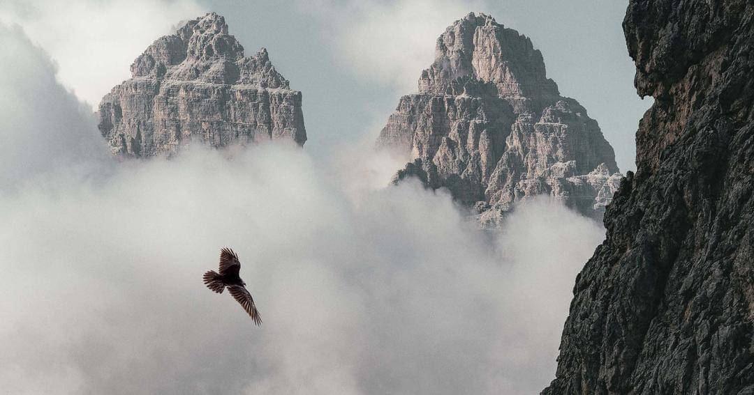 Pexels/Eberhard Grossgasteiger