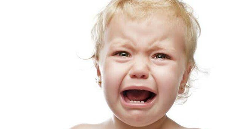 Littlerockfamily.com