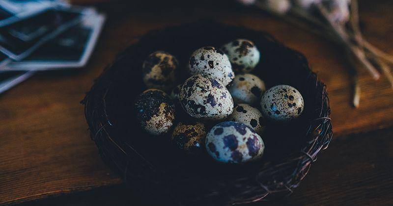 Unsplash/Annie Spratt