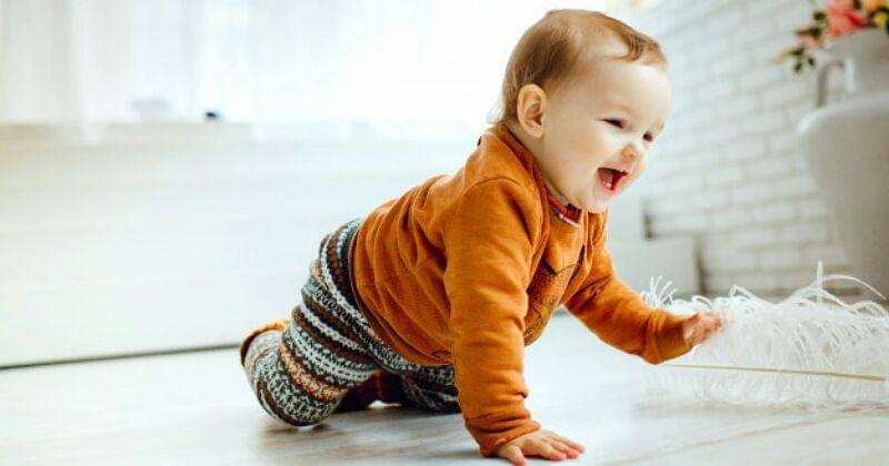 Freepik/Freepic.diller