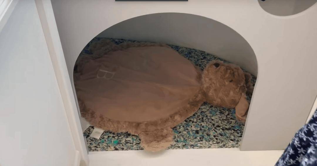 Youtube/Rachel & Niko