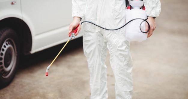 Freepik/Wavebreakmedia-micro