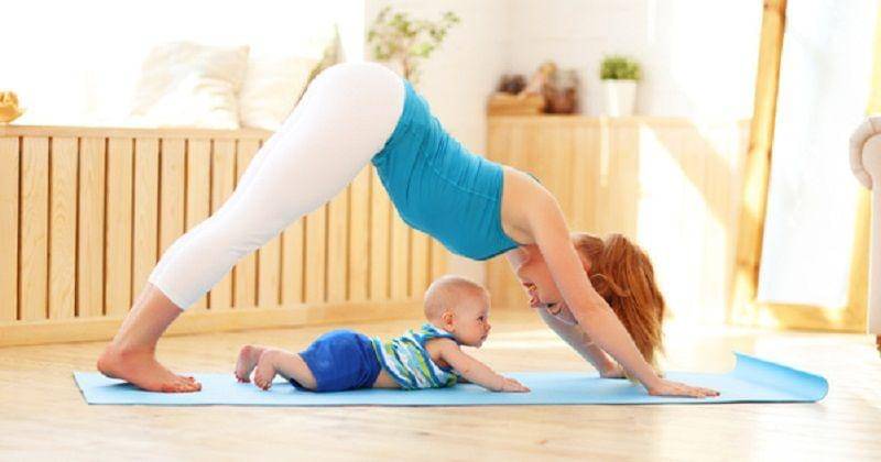 freedesignfile/starder