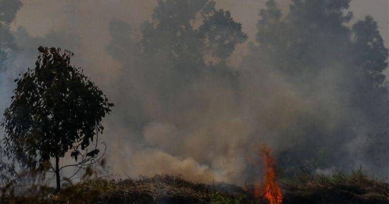 ANTARA FOTO/Rony Muharrman - Dok. IDN Times