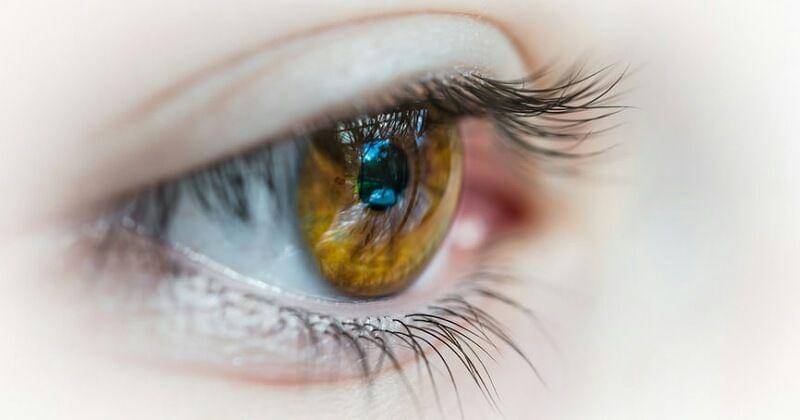 Unplash/Patrick Brinksma