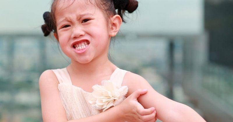 Shutterstock/Littlekidmoment