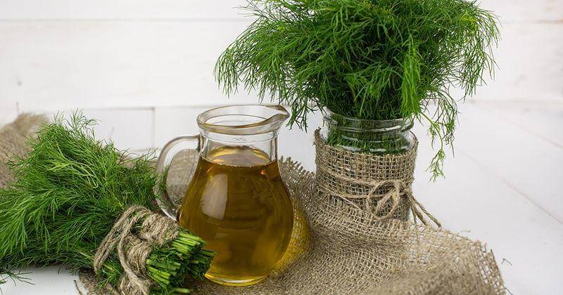 Pixabay/Jyliagorbacheva