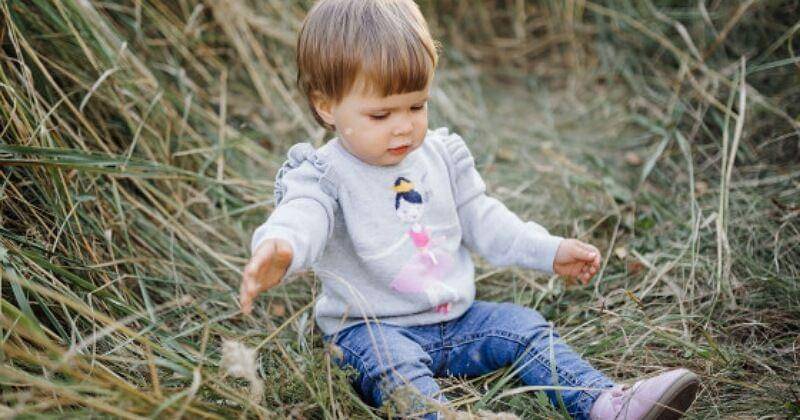 Freepik/bristekjegor 