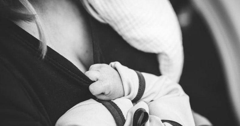 unsplash/Jordan Whitt