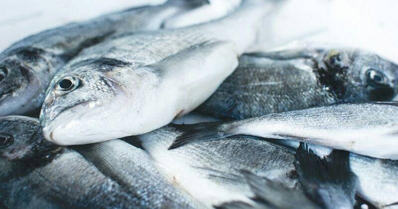 Unplash/Jakub Kapusnak