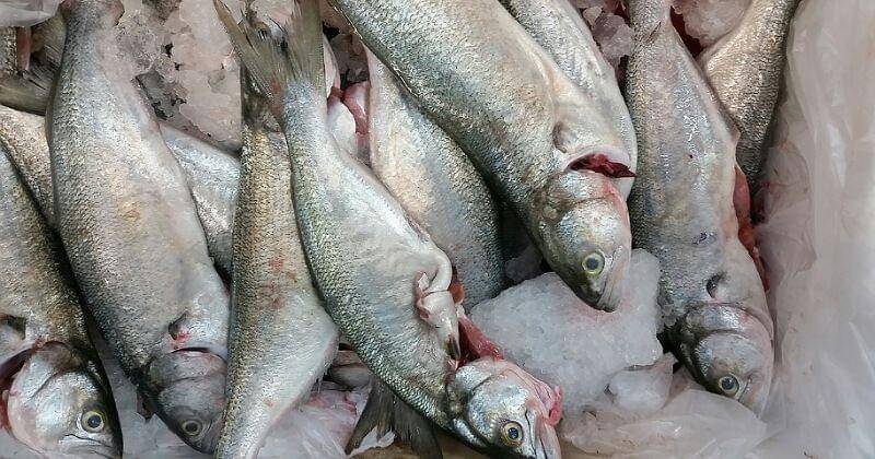 Pixabay/KoalaParkLaundromat