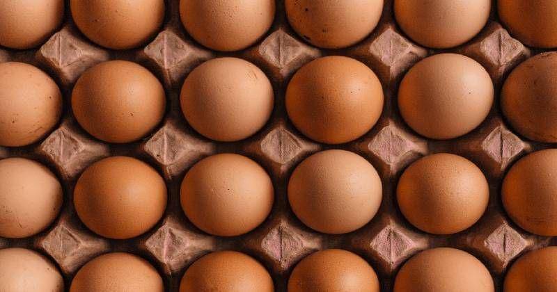 unsplash/ Erol Ahmed