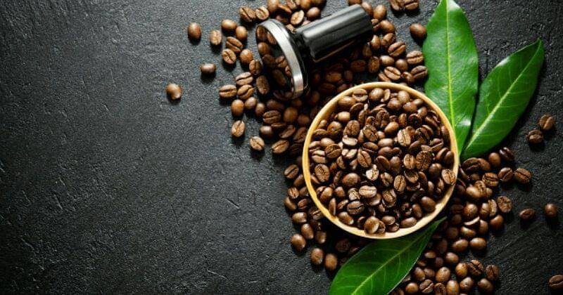 Freepik/Valeria_aksakova