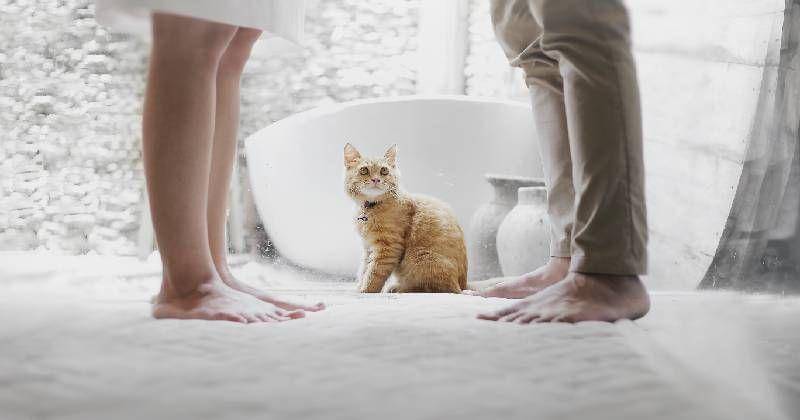 Unsplash/Hutomo Abrianto