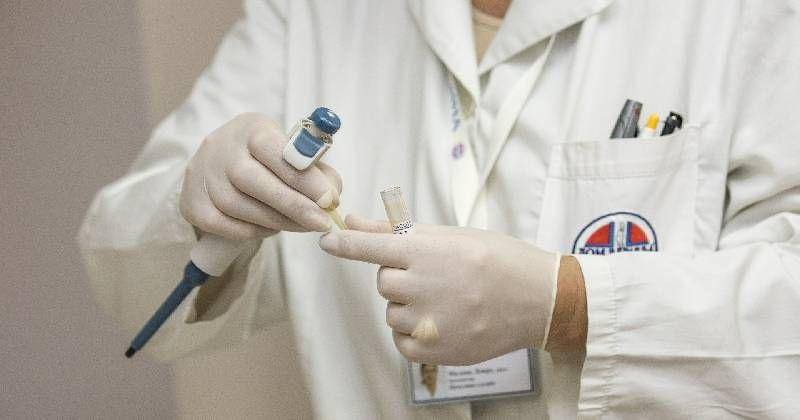 pixabay/Darko Stojanovic