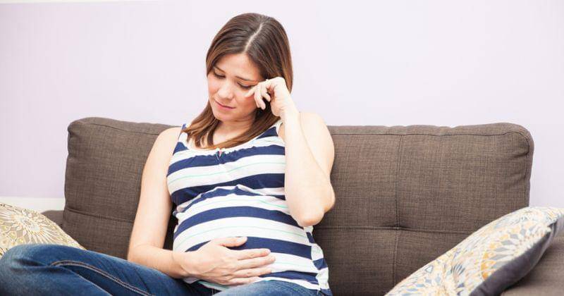 Shutterstock/antoniodiaz - Shutterstock/antoniodiaz