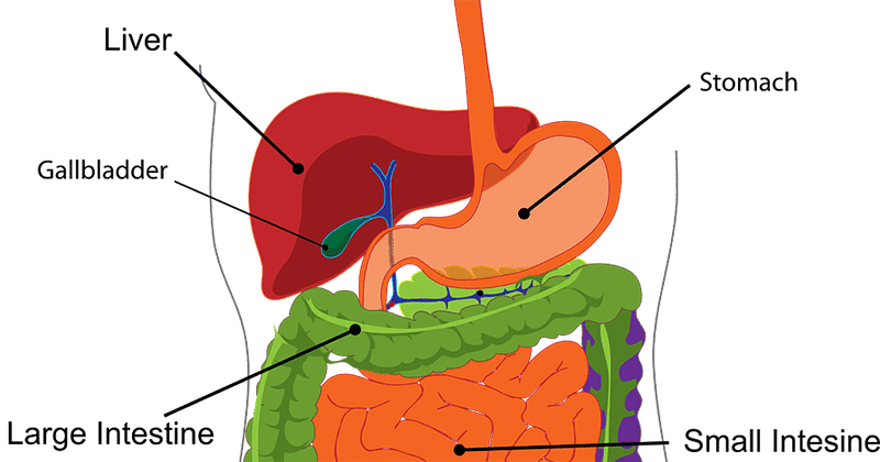 Pixabay/Clker-Free-Vector-Images