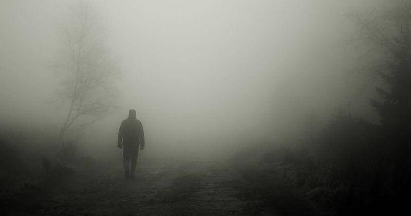 Pixabay/cocoparisienne