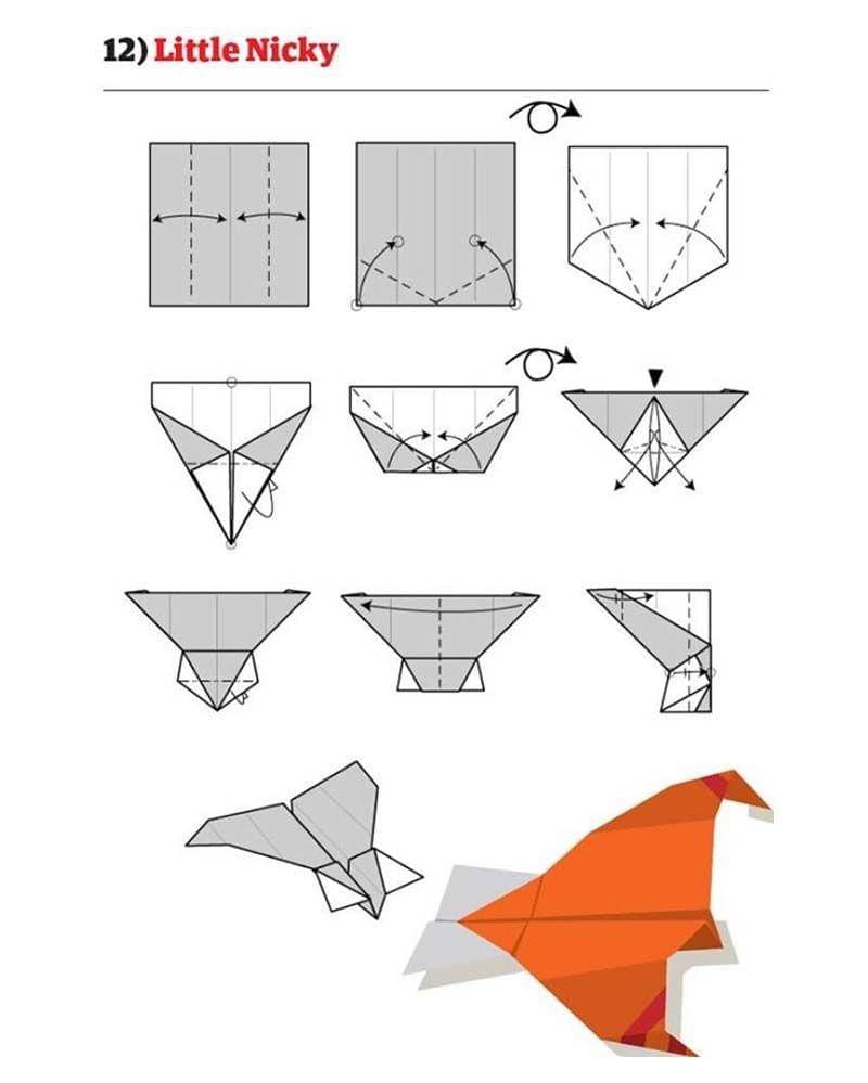 Fashion and hairstyle