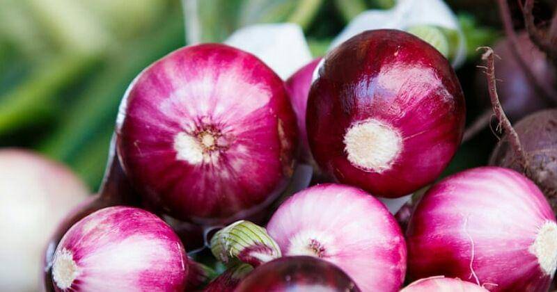 Unplash/Thomas Martinsen