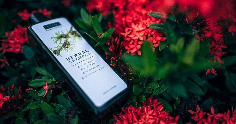 Pixabay/igorovsyannykov