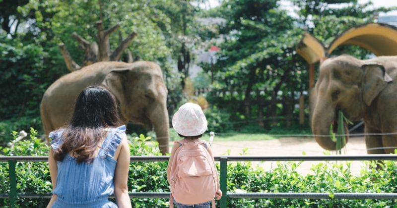 Shutterstock/Makistock