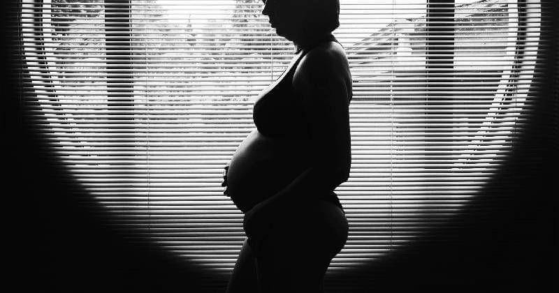 pixabay/ Free-Photos