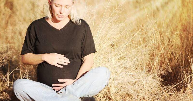 pixabay/Tawny van Breda